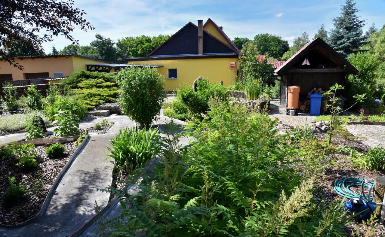 Ferienhaus "Am Gutspark" Alt Tucheband Екстериор снимка